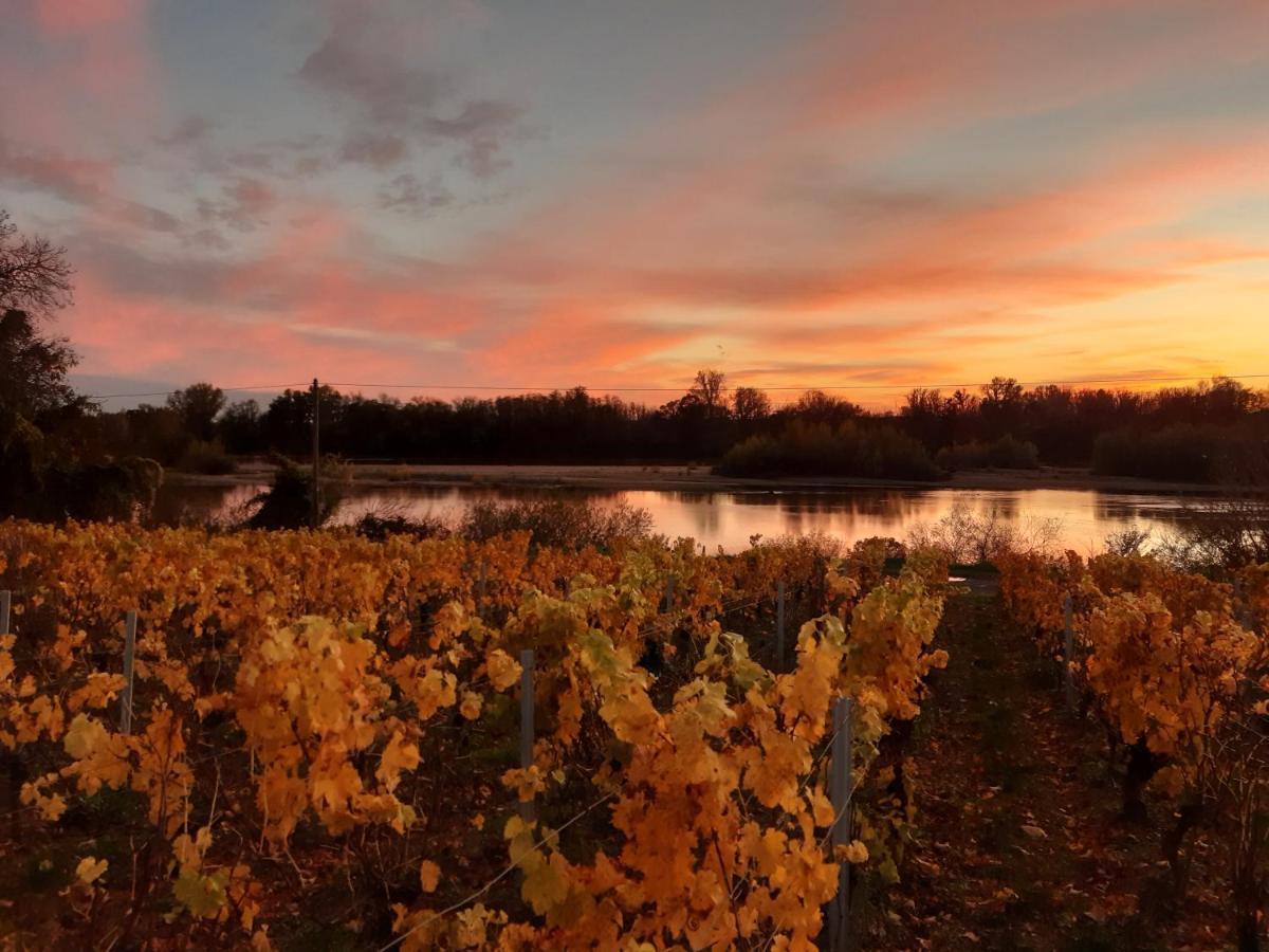 Aux Nids D'Hirondelles Pouilly-sur-Loire Exterior foto